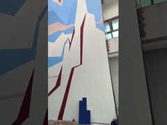 Arrampicata all'aperto rampicante professionale artificiale adulta del campo da giuoco della parete